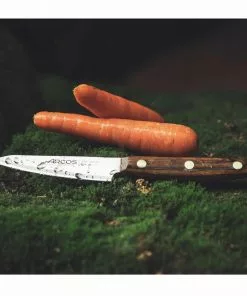 Cookware Arcos Nordika Paring Knife 10cm