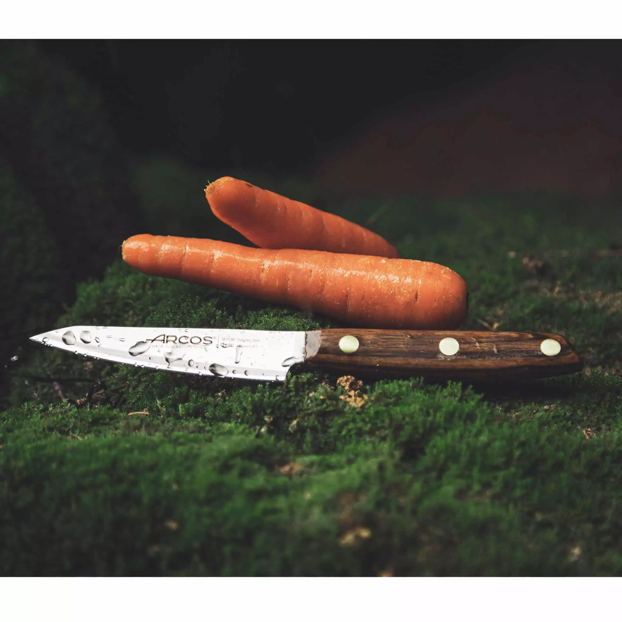 Cookware Arcos Nordika Paring Knife 10cm 4 Cookware Arcos Nordika Paring Knife 10cm