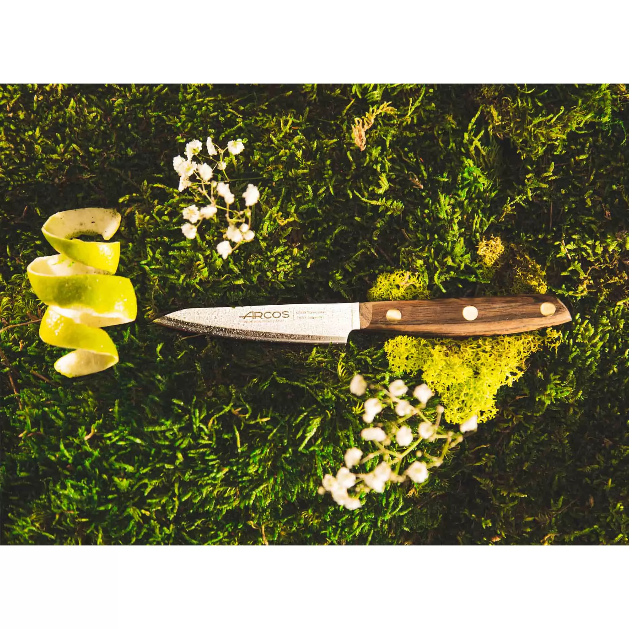 Cookware Arcos Nordika Paring Knife 10cm 5 Cookware Arcos Nordika Paring Knife 10cm