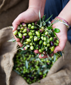 Honest Toil Extra Virgin Olive Oil 500ml Ingredients