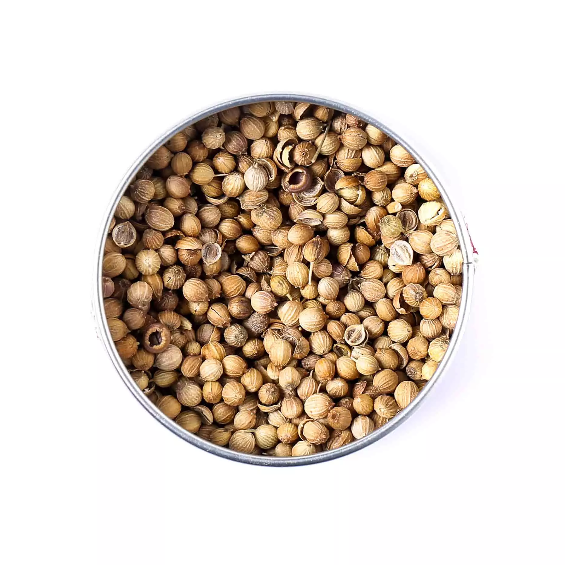 Terre Exotique Coriander 40g 4 Terre Exotique Coriander 40g
