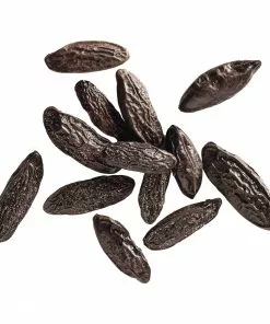 Terre Exotique Tonka Bean 50g 10 Terre Exotique Tonka Bean 50g