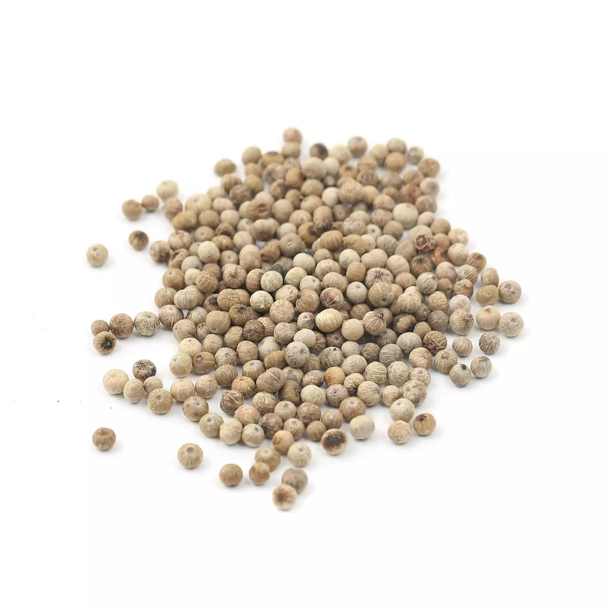 Terre Exotique White Kampot Pepper IGP 500g 4 Terre Exotique White Kampot Pepper IGP 500g