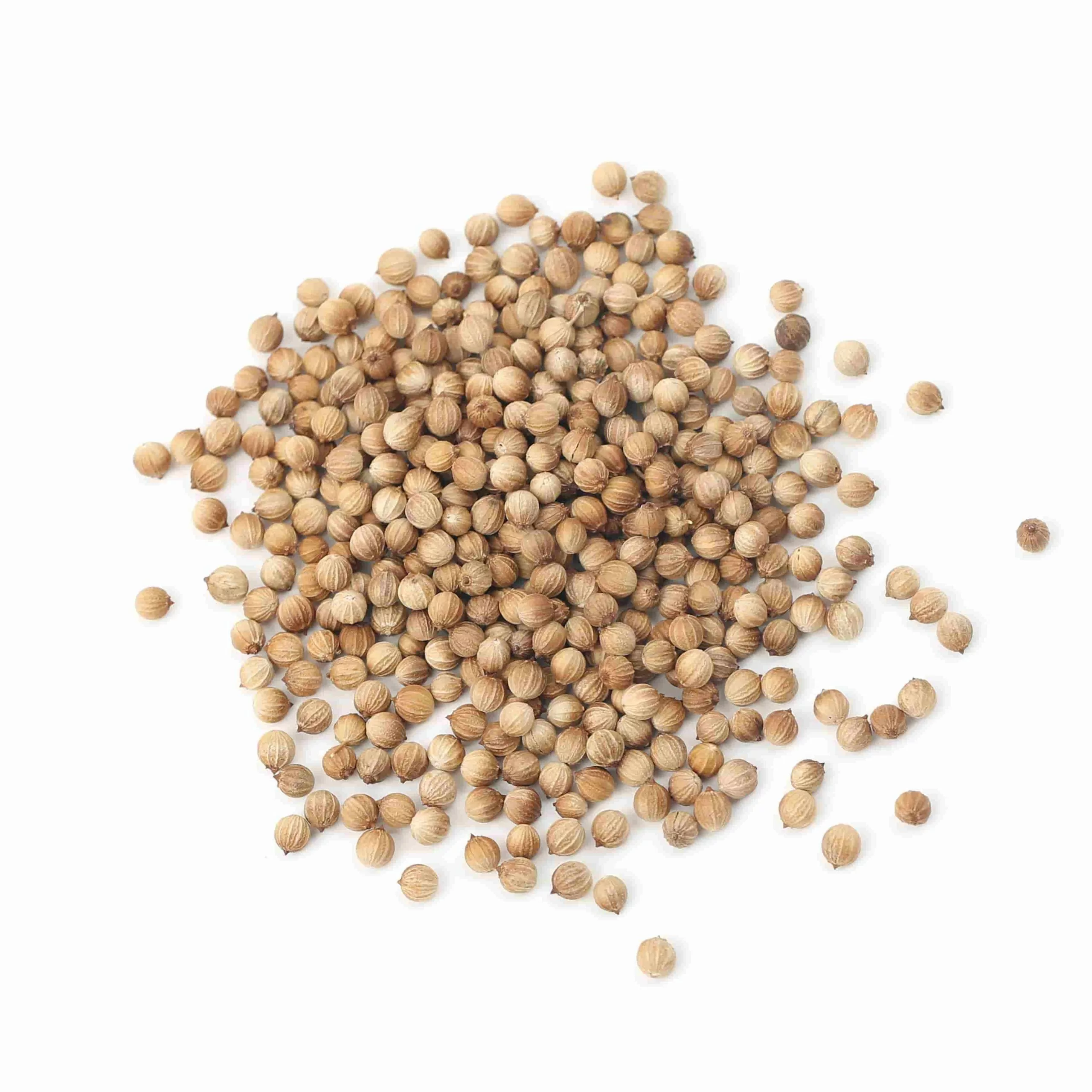 Terre Exotique Whole Coriander Seeds 500g Ingredients 4 Terre Exotique Whole Coriander Seeds 500g Ingredients