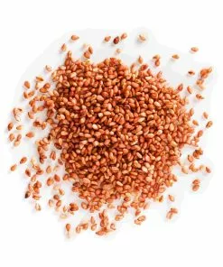 Terre Exotique Umeboshi Sesame Seeds 250g
