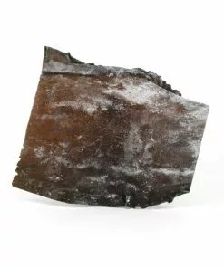 Welpac Ingredients Kombu For Dashi 113g