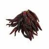 Brindisa Guindilla Pepper Ristra - String Of 50