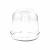 Portuguese Tableware Large Domed Glass Cloche X 2 - 11cm Dia Molecular Gastronomy Supplies