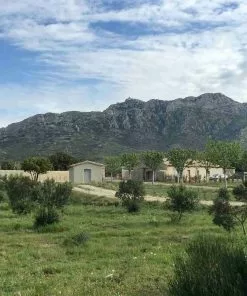 Ingredients Grand Brahis Vert AOP Vallee Des Baux De Provence Extra Virgin Olive Oil 500ml