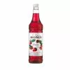 Monin Strawberry Syrup 1 Litre Ingredients