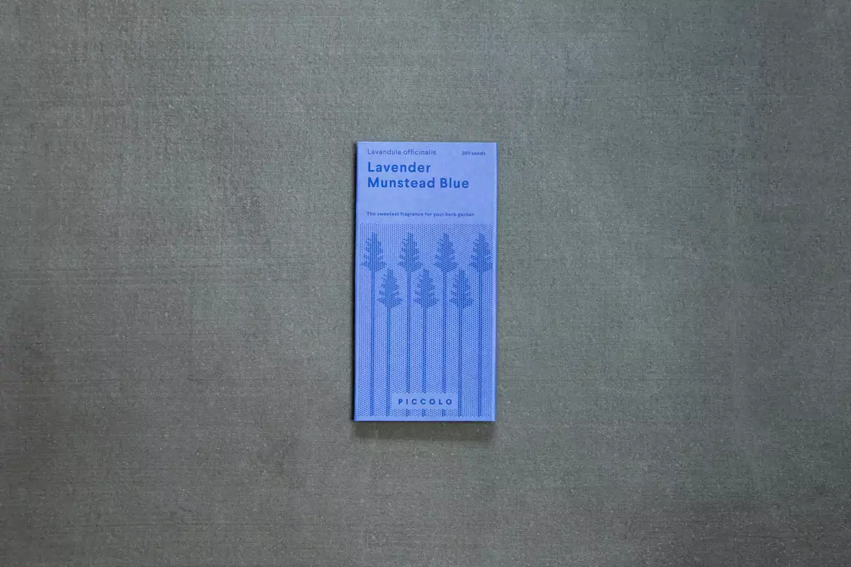 Piccolo Munstead Blue Lavender Edible Flower Seeds Ingredients 5 Piccolo Munstead Blue Lavender Edible Flower Seeds Ingredients