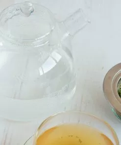 Trendglas Glass Stovetop Kettle 1.75 Litres 7 Trendglas Glass Stovetop Kettle 1.75 Litres